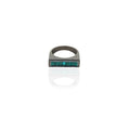 The Obsidian Ring