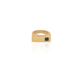 The Tanzanite Ring