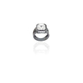 The Spinel Ring